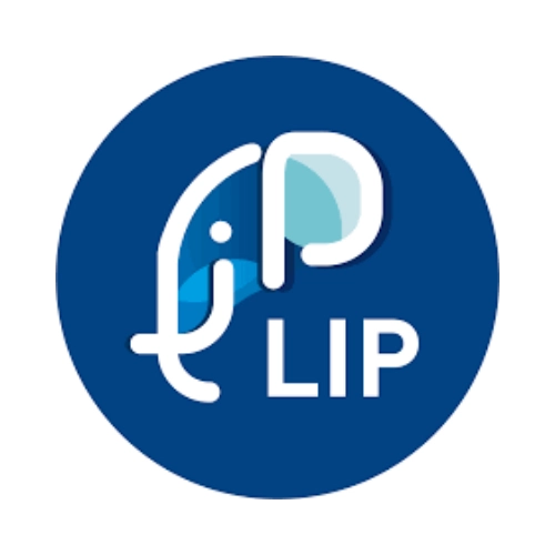 Équipe de rugby nationale